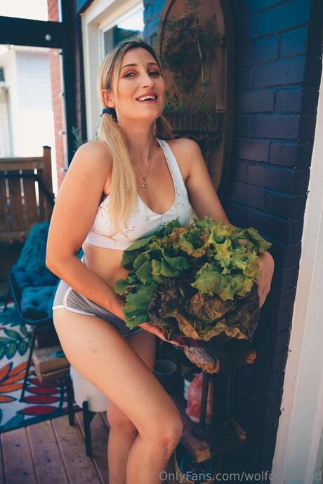 wolfofthewild model art pics