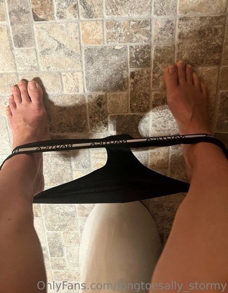 longtoesally stormy Profile pic