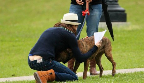 Buttcracks nudes actress images