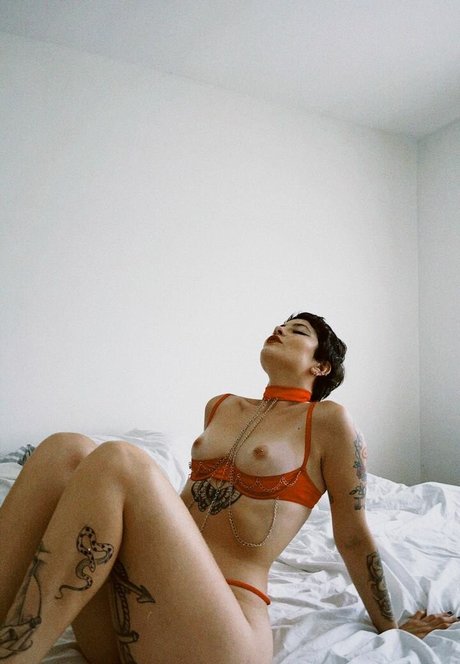 Marceli Cardozo pornstar perfect pictures