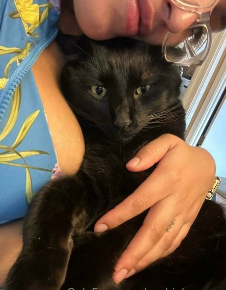 Sophialeonexo model pornographic pictures