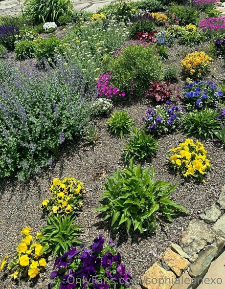 Sophialeonexo free model photos