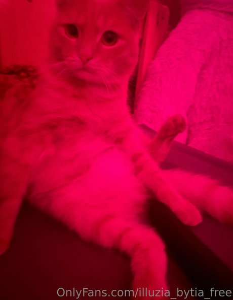 illuzia bytia free free star photos