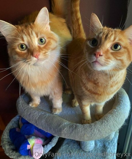 xxsacredhoneyxx sexy model pics