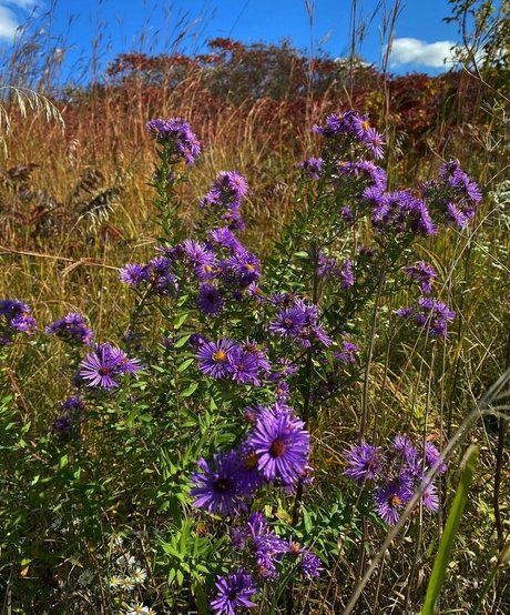 xxsacredhoneyxx sexy model archive