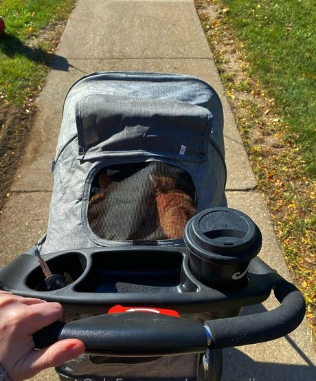 thigh high boots onlyfans pornographic pics