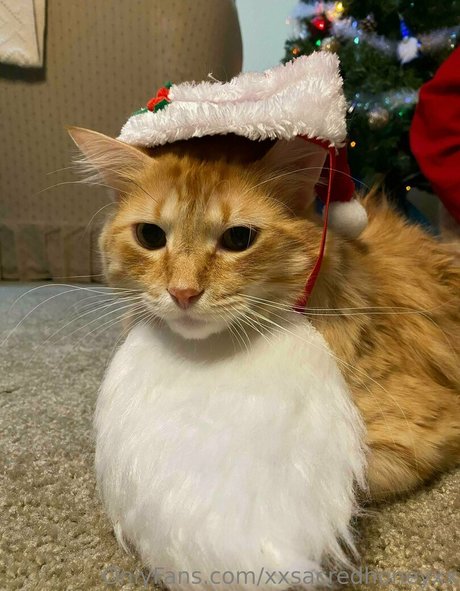 xxsacredhoneyxx nude actress photo