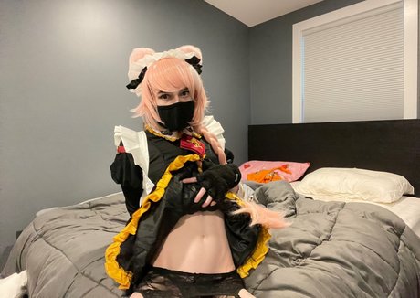 Catboiaoi pornstar free picture