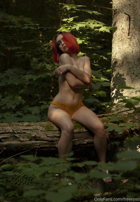 freerosti star pretty pictures