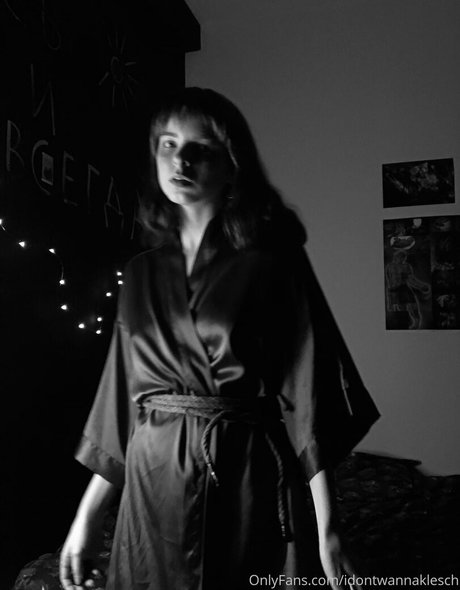 idontwannaklesch top pornstar gallery