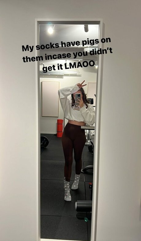 Paladinamber free star images