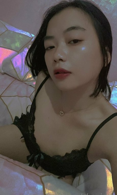 chaniasa perfect star galleries