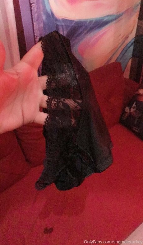 shemaleturkey sex pornstar picture