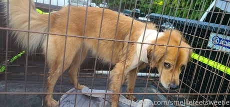 smelliefeetsweetie nude model photos