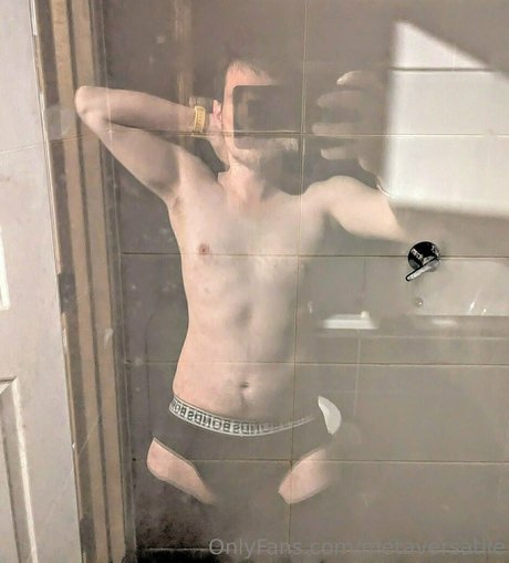 metaversatile pornstar art picture