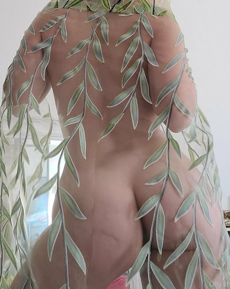 lillillylitxxx nudes pornstar photos