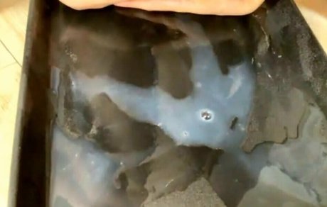 bisexual onlyfans free xxx photos