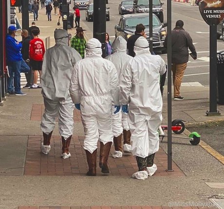 begformolly actress galleries