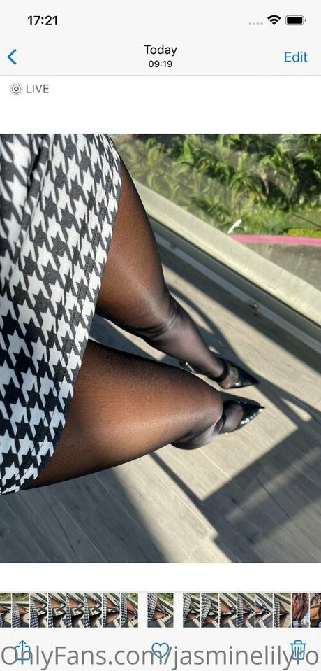 jasminelilyrose stocking hd star images