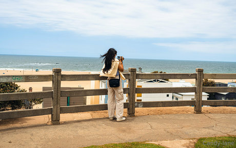 candy lane star free pics