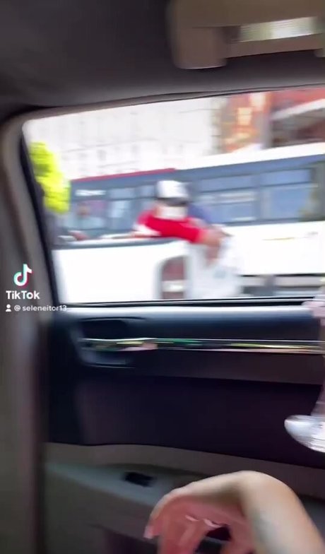 Seleneitor adult actress image