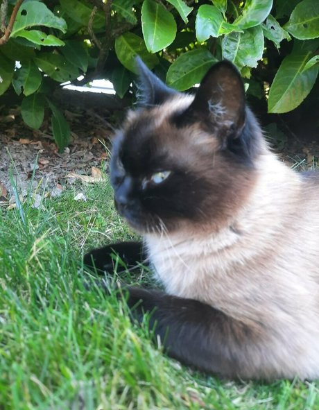 curvy girls onlyfans hot nude images