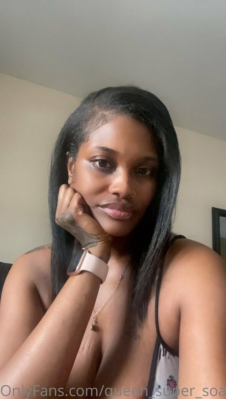 queen super soaker beautiful model archive