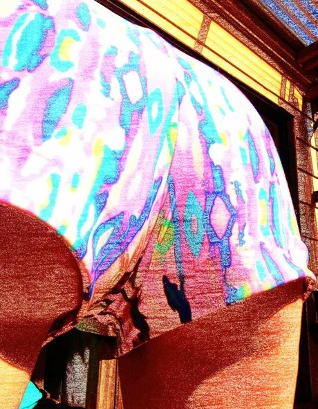 orchardgirlnz pornstar art images