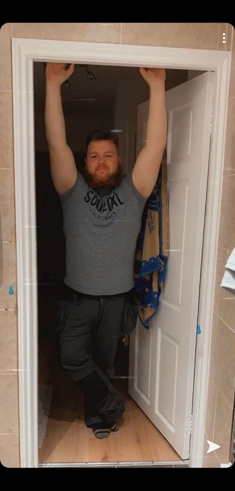 daddyybearrfree art star images