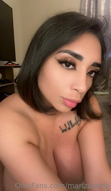 marizalamb model art pics