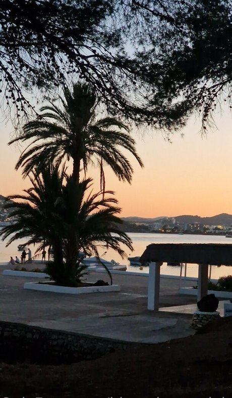 blooming x daisy star pornographic pics