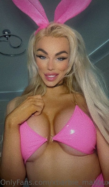 Malibu merc model free images