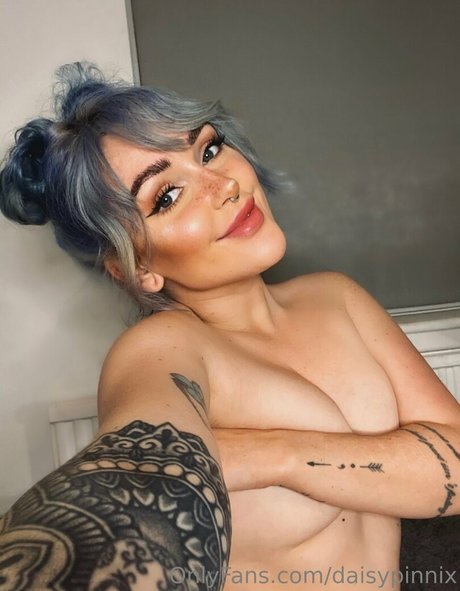 daisypinnix nice star archive