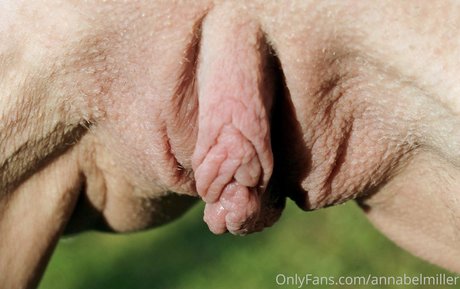 annabelmiller high quality pornstar pic