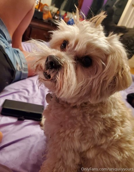 uniquilyyours star hot photo