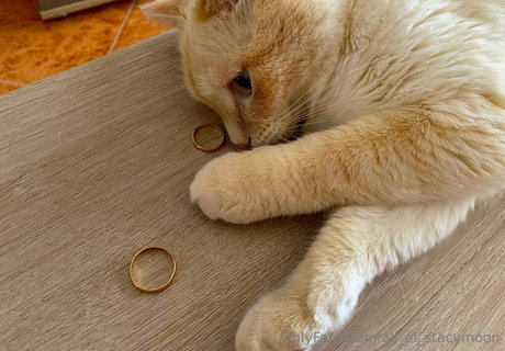 all of stacymoon erotic model pics