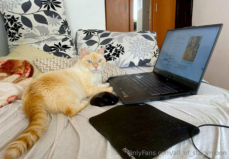 all of stacymoon star best photo