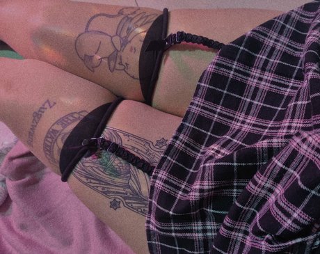 Megaptera model top img