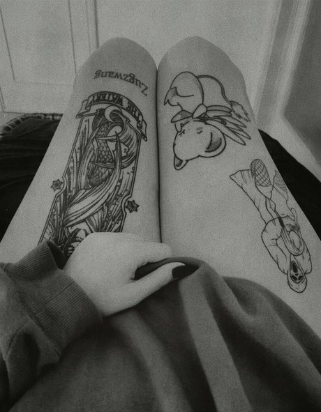 Megaptera top model pic