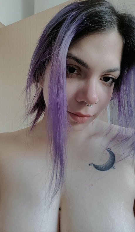 Megaptera Quick model image