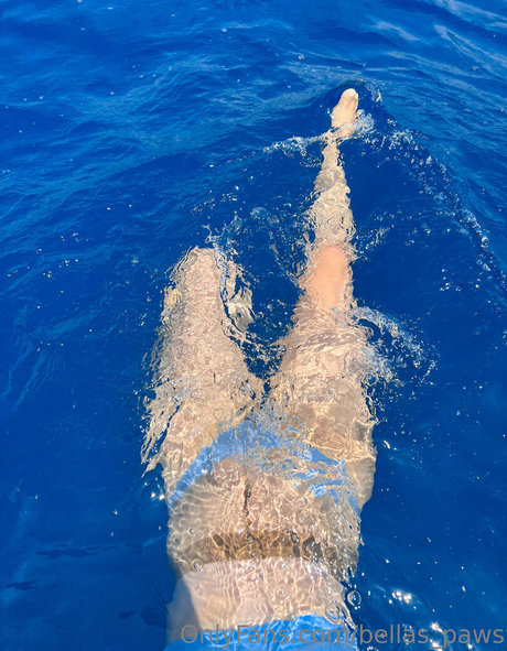 bellas paws xxx actress image