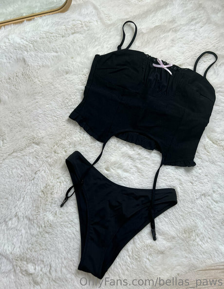 bellas paws Profile pic