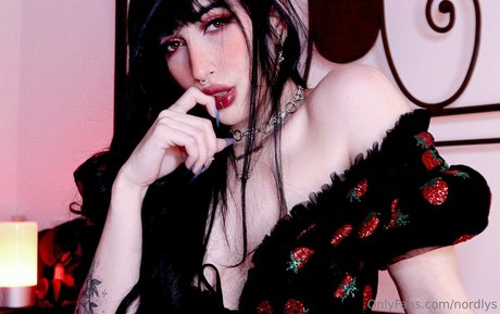 nordlys model picture