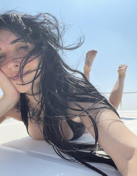 nordlys star nice pics