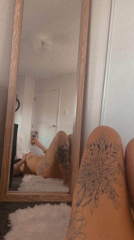 elmo 2301 hd model image