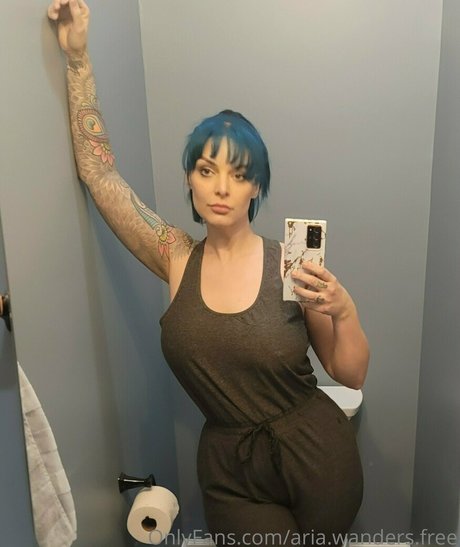 aria wanders free adult star photo