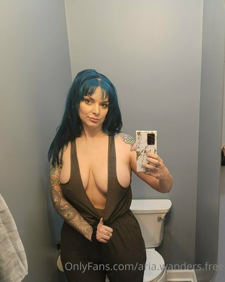 aria wanders free beautiful pornstar pic