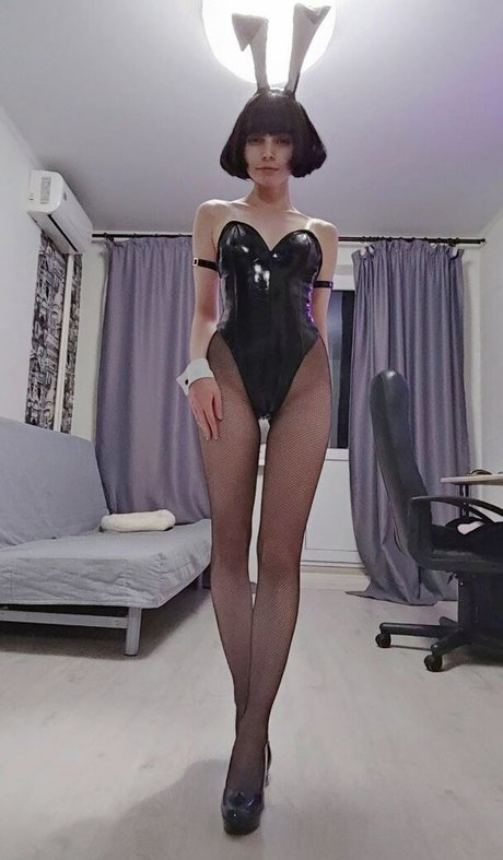 OwlLit hd star galleries