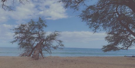 asian college onlyfans hot sex photo