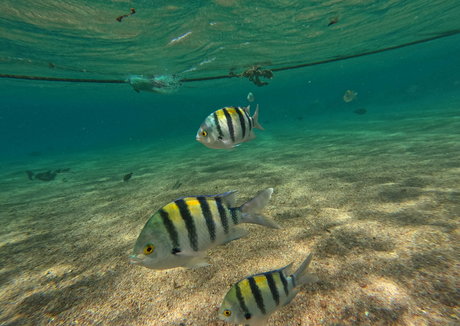 babylonias nude pornstar pics